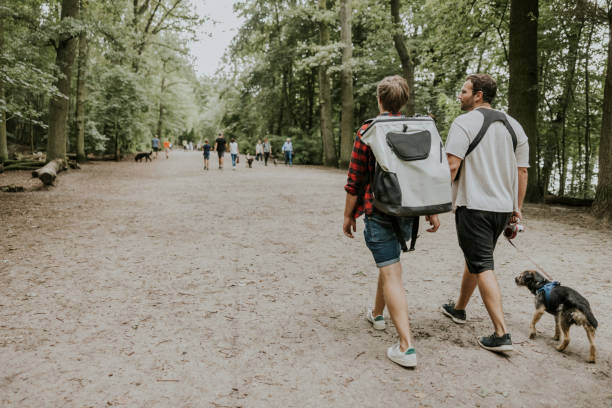 istock Couple walking with dog in public park 1336666959