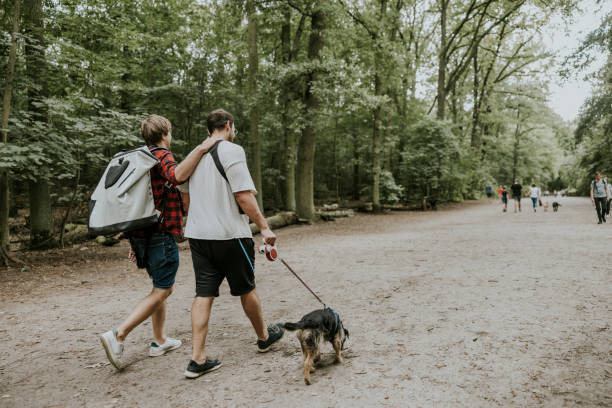 istock Couple walking with dog in public park 1336666965