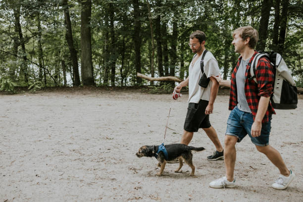 istock Couple walking with dog in public park 1336666972