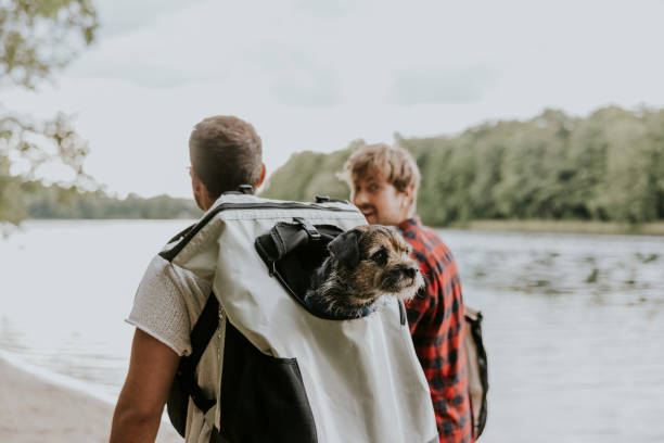 istock Couple walking in public park with their dog 1336666991
