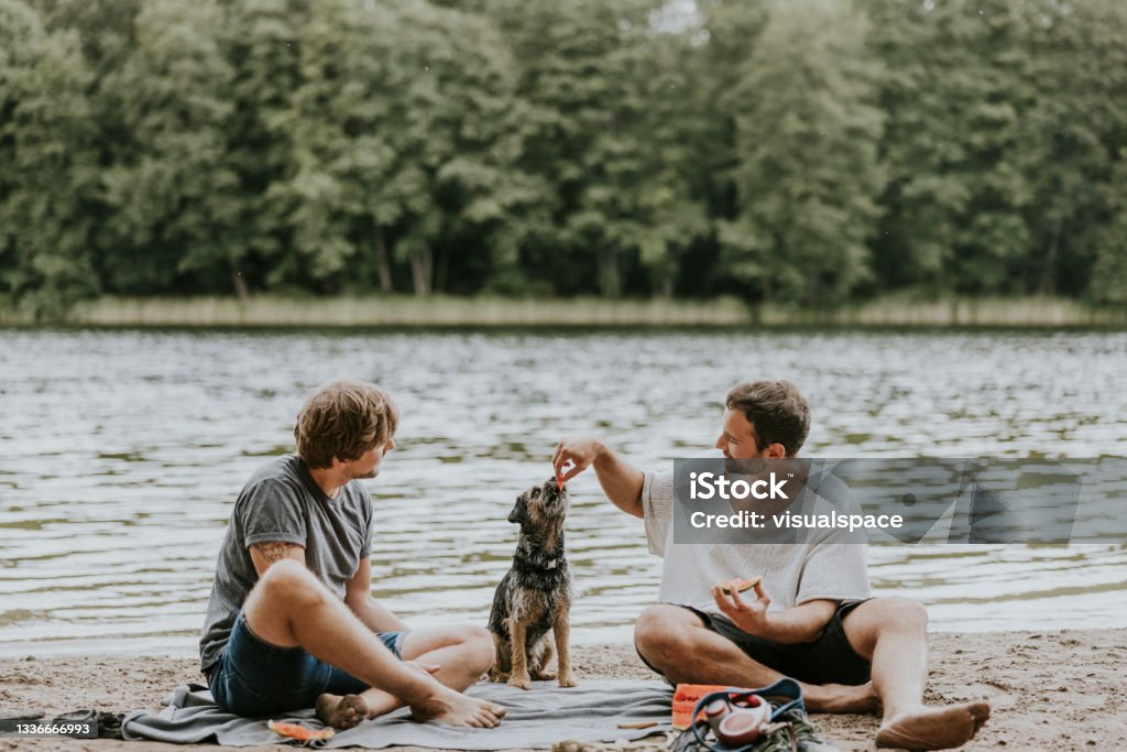 Couple having a picnic in public park Handsome gay couple, having a picnic with their pet dog in nature. Couple - Relationship Stock Photo