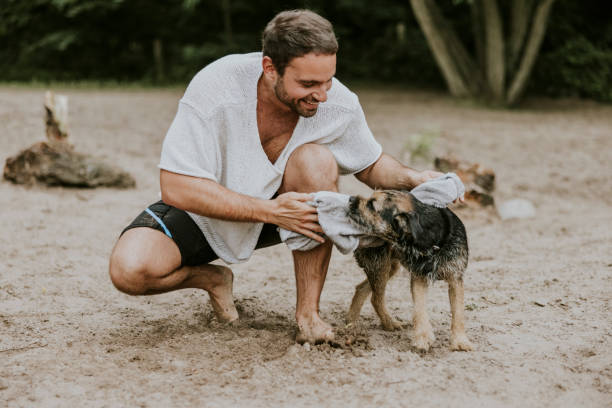 istock Young man drying dog with a towel 1336667231