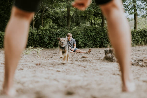 istock Couple playing with dog in a public park 1336667234
