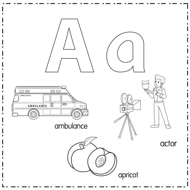 Vector illustration of Vector illustration for learning the letter A in both lowercase and uppercase for children with 3 cartoon images. Ambulance Apricot Actor.