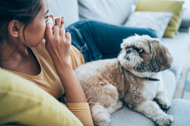 istock Woman with high fever at home. 1336669461