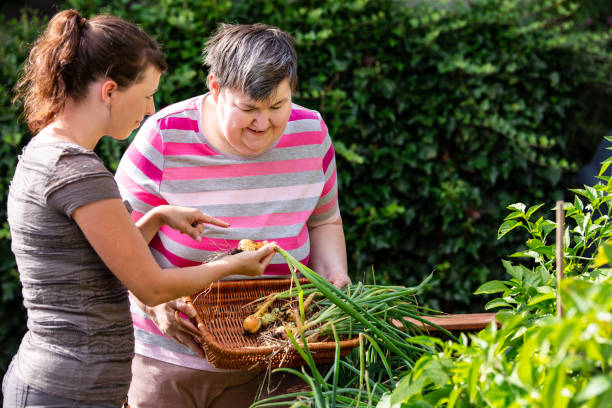 a caregiver shows a mentally handicapped woman how to harvest onions from a raised bed - downs syndrome work bildbanksfoton och bilder