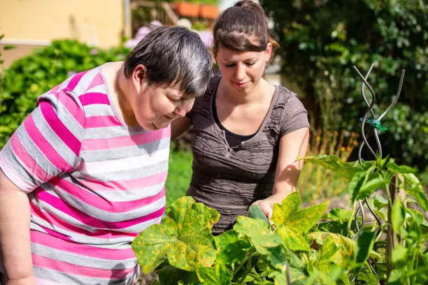 Photo of mentally handicapped and disabled woman and a caregiver looking at cucumbers in a raised bed