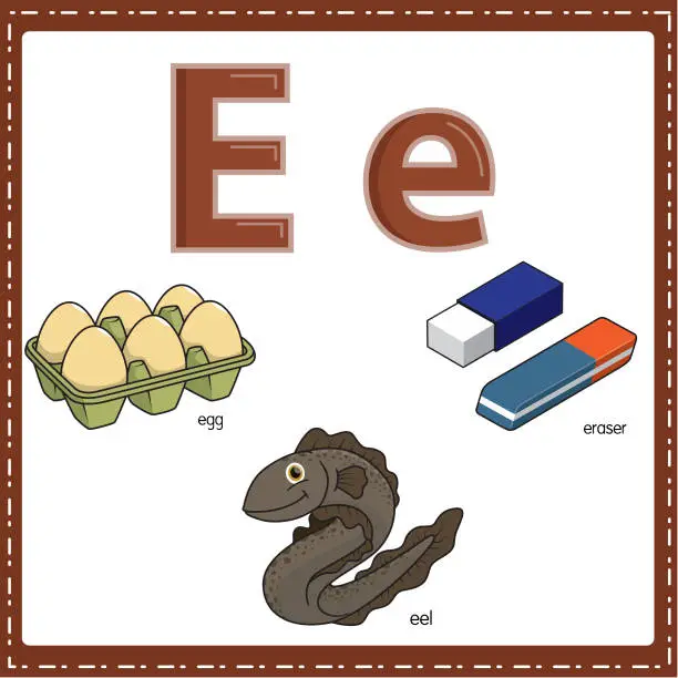 Vector illustration of Vector illustration for learning the letter E in both lowercase and uppercase for children with 3 cartoon images. Elephant Envelope Eight.