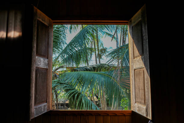 Traditional Amazon House Pretty House Window on Boca do Acre - Amazon iquitos photos stock pictures, royalty-free photos & images