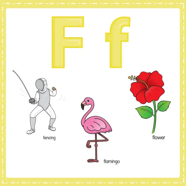 Vector illustration of Vector illustration for learning the letter F in both lowercase and uppercase for children with 3 cartoon images. Fencing Flamingo Flower.