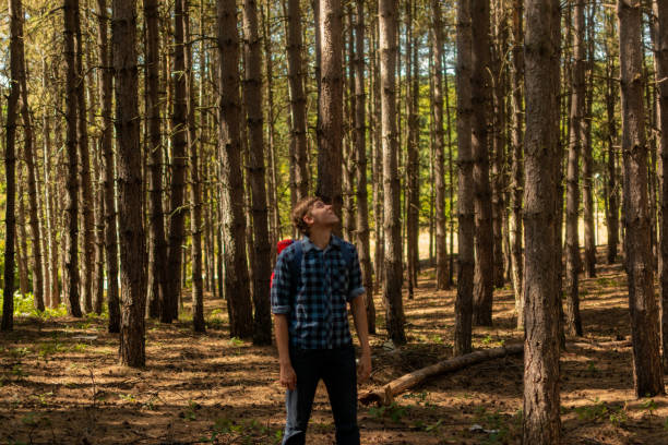 istock Young man with backpack on his back, walking through the pine wood forest, exploring, hiking and enjoying the nature and the view, relaxing. 1336676072