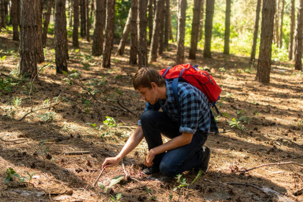 istock Young man with backpack on his back, walking through the pine wood forest, exploring, hiking and enjoying the nature and the view, relaxing. 1336676655