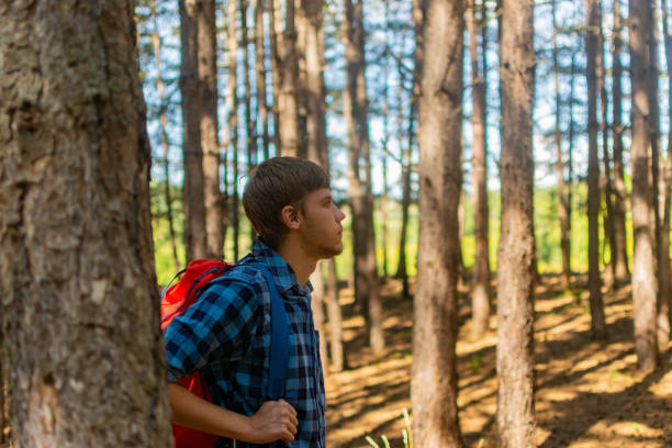 istock Young man with backpack on his back, walking through the pine wood forest, exploring, hiking and enjoying the nature and the view, relaxing. 1336676742