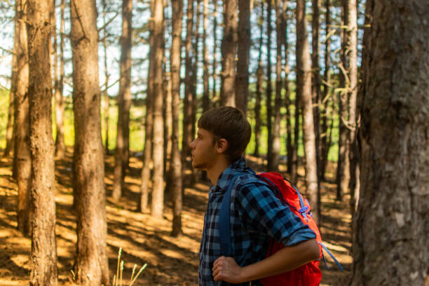 istock Young man with backpack on his back, walking through the pine wood forest, exploring, hiking and enjoying the nature and the view, relaxing. 1336676803