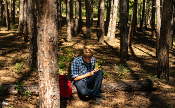 istock Young man with backpack on his back, walking through the pine wood forest, exploring, hiking and enjoying the nature and the view, relaxing. 1336677241
