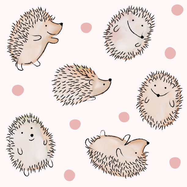 Vector Hand Drawn Watercolor Hedgehog Line Drawing Seamless Pattern in Pink Background. Vector Hand Drawn Watercolor Hedgehog Line Drawing Seamless Pattern in Pink Background. hedgehog stock illustrations