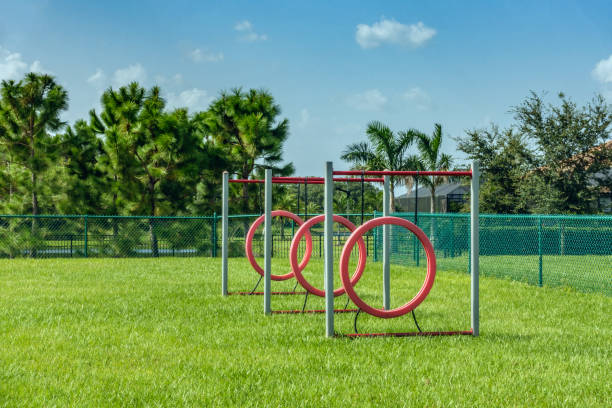 Jumping hoops in a dog park Three red hoops for dogs to jump through in a suburban dog park on a sunny afternoon in southwest Florida dog agility stock pictures, royalty-free photos & images