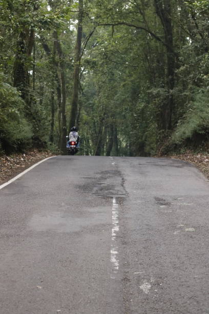 istock long road in the forest 1336678935
