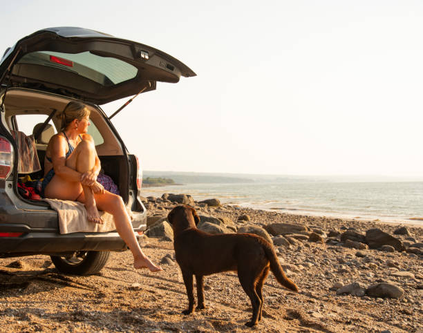 samotność na plaży - hatchback zdjęcia i obrazy z banku zdjęć