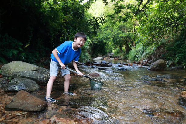 istock Boys fishing in stream 1336684758