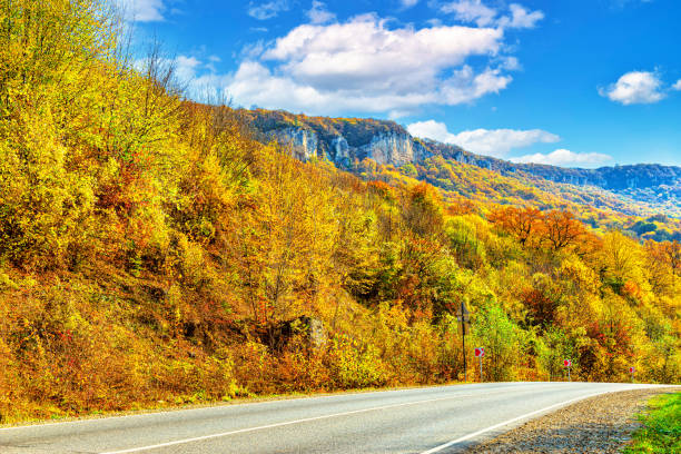 istock Autumn landscape of a mountain gorge covered with a dense forest 1336686037