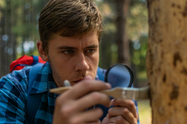 istock Young man walks through the pine forest on sunny summer day, with backpack on his back, exploring, enjoying, collecting firewoods, relaxing, enjoying the day. 1336686177