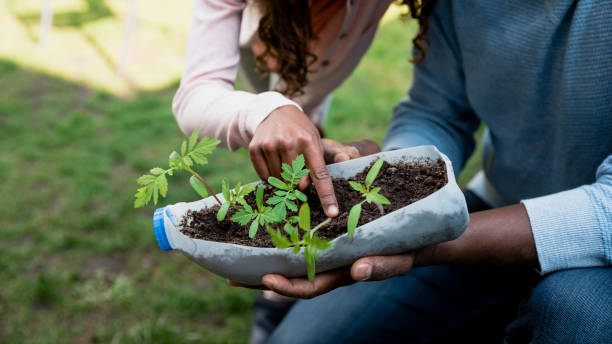 Showing My Daughter The Seedlings An aerial view of a father showing his young daughter the seedling tray that has been made out of a milk container and is promoting the zero waste approach and repurposing plastic into useful gardening seedling trays. They are stood in their allotment in Newcastle upon Tyne in the North East of England. community garden sign stock pictures, royalty-free photos & images