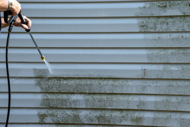 spring or fall cleaning is needed on this siding - wassen stockfoto's en -beelden
