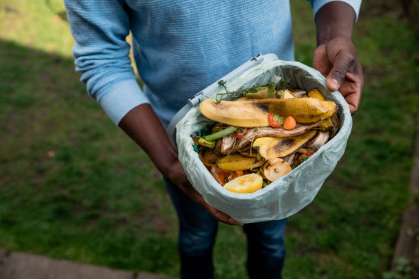 Composting Food Waste An aerial view of an unrecognizable person holding their plastic composting bin with items which are to go into their allotment in their larger composter ready to make into the soil for the following spring. compost stock pictures, royalty-free photos & images