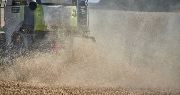 istock Close-up combine harvester from behind 1336689374