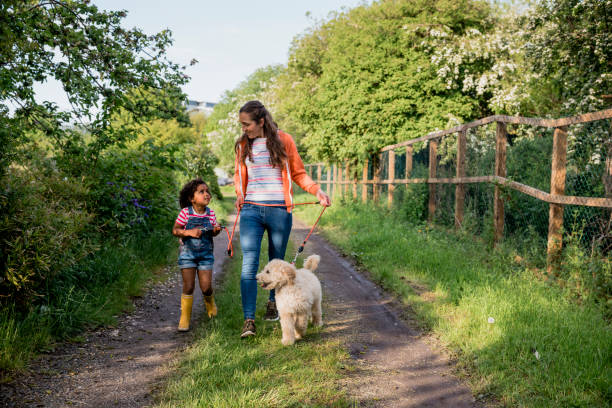 Mother and Daughter Walking The Dog A full-length front view a young girl and her mother walking their pet labradoodle down a path with grass on it, surrounded by nature in Newcastle upon Tyne in the North East of England. dog walking stock pictures, royalty-free photos & images