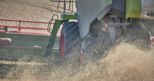 istock Close-up combine harvester from behind 1336689438