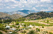 Countryside, Troodos mountains and plantation in Cyprus