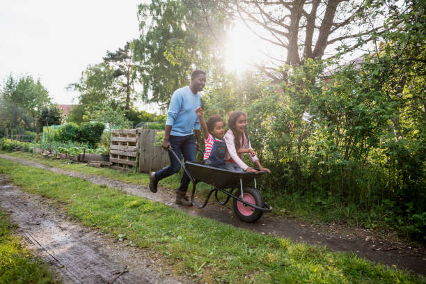 tenham cuidado com vocês dois! - wheelbarrow playing sibling rural scene - fotografias e filmes do acervo