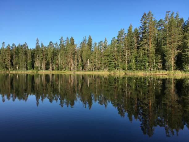 Finland lake beautiful summer wilderness nature