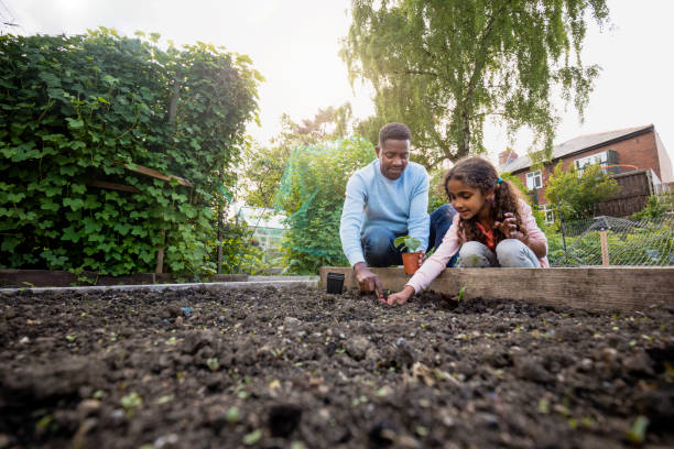istock Helping Plant The New Crops 1336690516