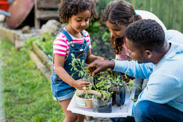 istock Look At Our Herb Garden 1336690566