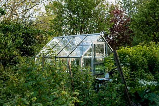 flowers in greenhouse in a public park in Stockholm