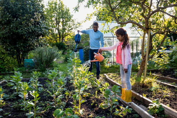 istock Watering The Plants Together 1336690728