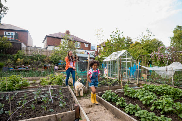 istock Walking Around the Allotment 1336690768