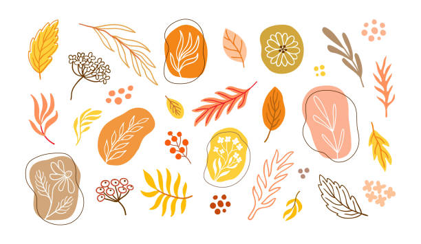 葉、花、枝の秋のミニマルな花のセット。抽象的な秋冬のクリップアートグラフィックコレクション。ブランディング、ロゴデザイン、ソーシャルネットワークアバターに使用します。eps 10  - golden daisy点のイラスト素材／クリップアート素材／マンガ素材／アイコン素材