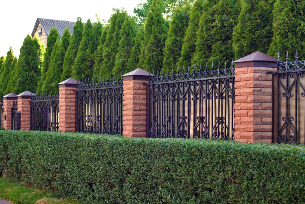 istock forged fence closed area private sector bushes 1336692258