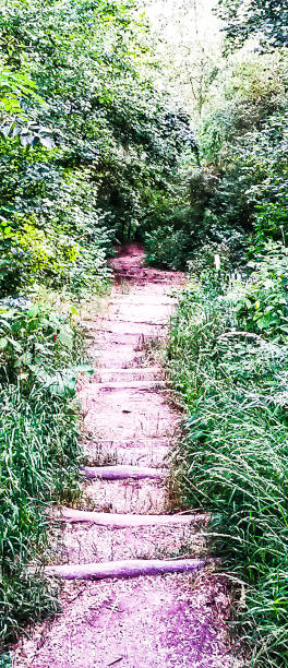 droga drewniana, schody, stroma droga w dół - steep road footpath moving down zdjęcia i obrazy z banku zdjęć