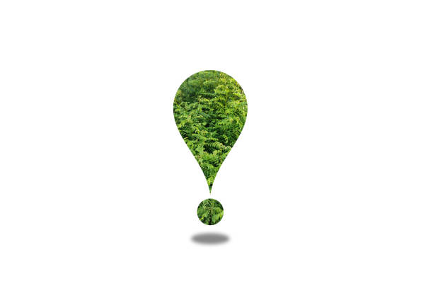 istock Green location icon isolated on white background with 3D realistic shadow. Forest and farming location icon. 1336694144