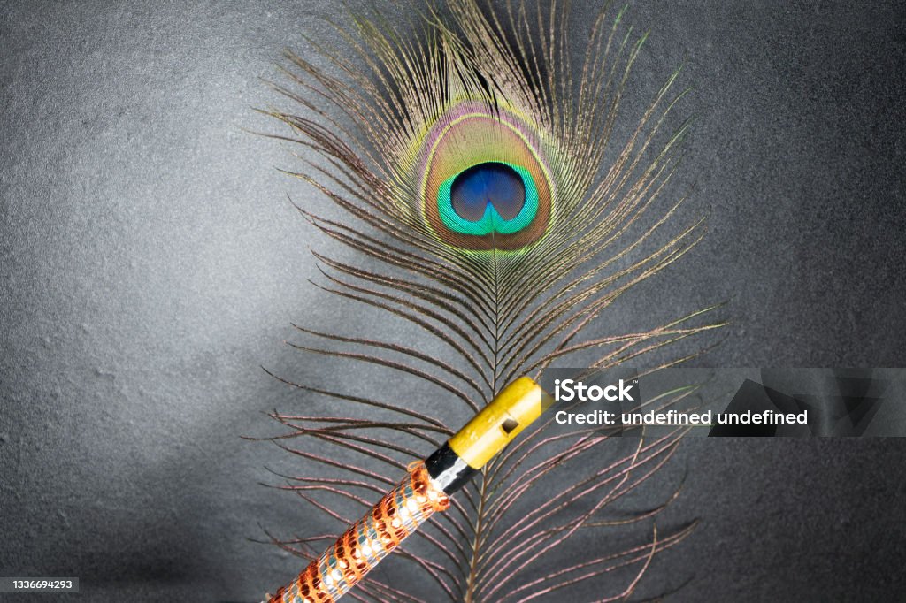 Krishna Flute And Peacock Feather Stock Photo - Download Image Now - Flute  - Musical Instrument, Krishna, Ancient - iStock