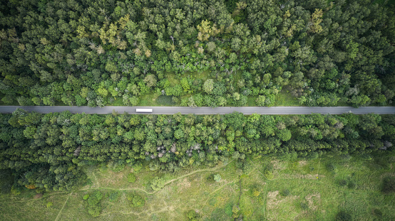 Aerial top view of the white bus moving through the narrow road in forest