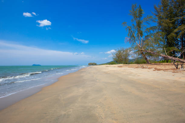istock Thailand, Beach, Sea, Backgrounds, Sky 1336695468