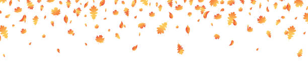秋の葉の長いバナー。秋のメープルの背景。10月の葉フレーム。オークの装飾9月のポスター。オレンジ色の植物の飛行。感謝祭の日カード。収穫パーティーの招待状。ベクトルの図 - leaf autumn falling thanksgiving点のイラスト素材／クリップアート素材／マンガ素材／アイコン素材