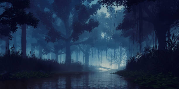 川の上の不気味な木と神秘的な夜の森 - 静水 ストックフォトと画像