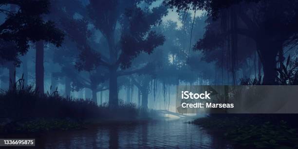 Mysterious Night Forest With Creepy Trees On River Stock Photo - Download Image Now - Swamp, Night, Forest